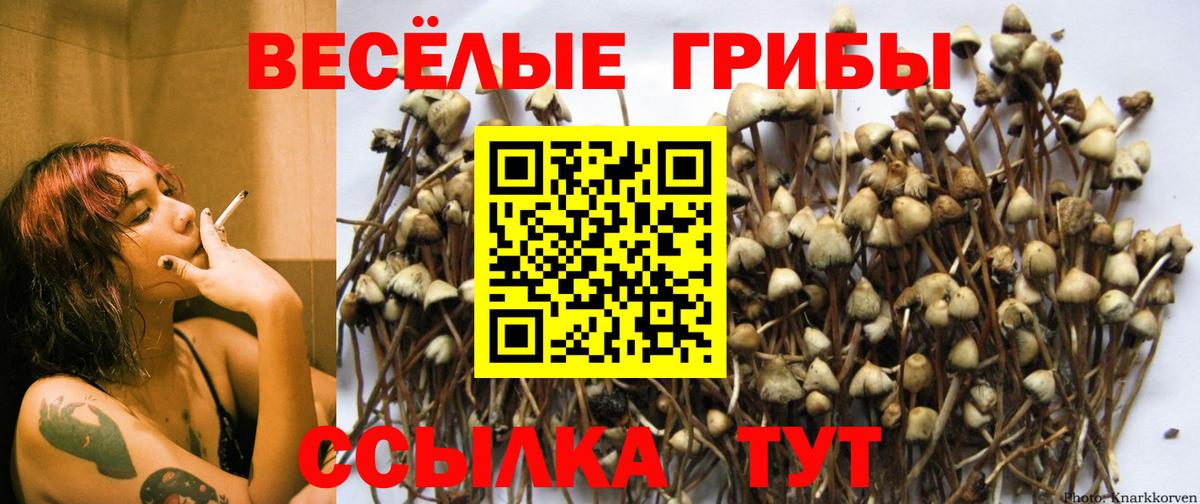 Галлюциногенные грибы прущие грибы Строитель